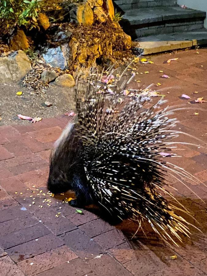 시몬스타운 Porcupine Walk 아파트 외부 사진