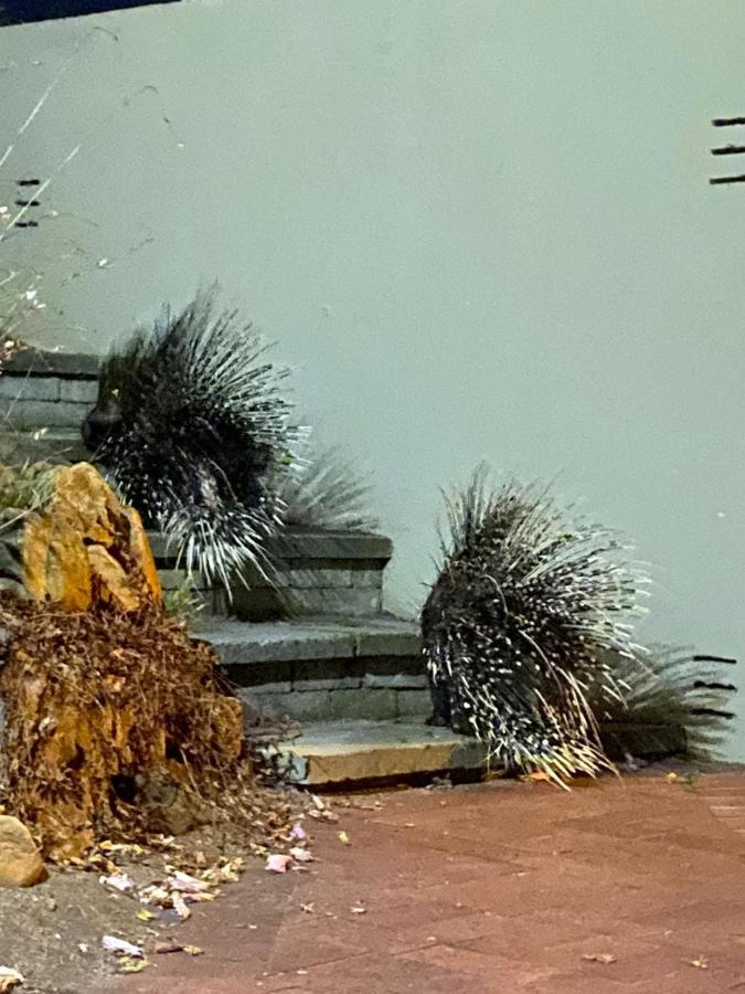 시몬스타운 Porcupine Walk 아파트 외부 사진