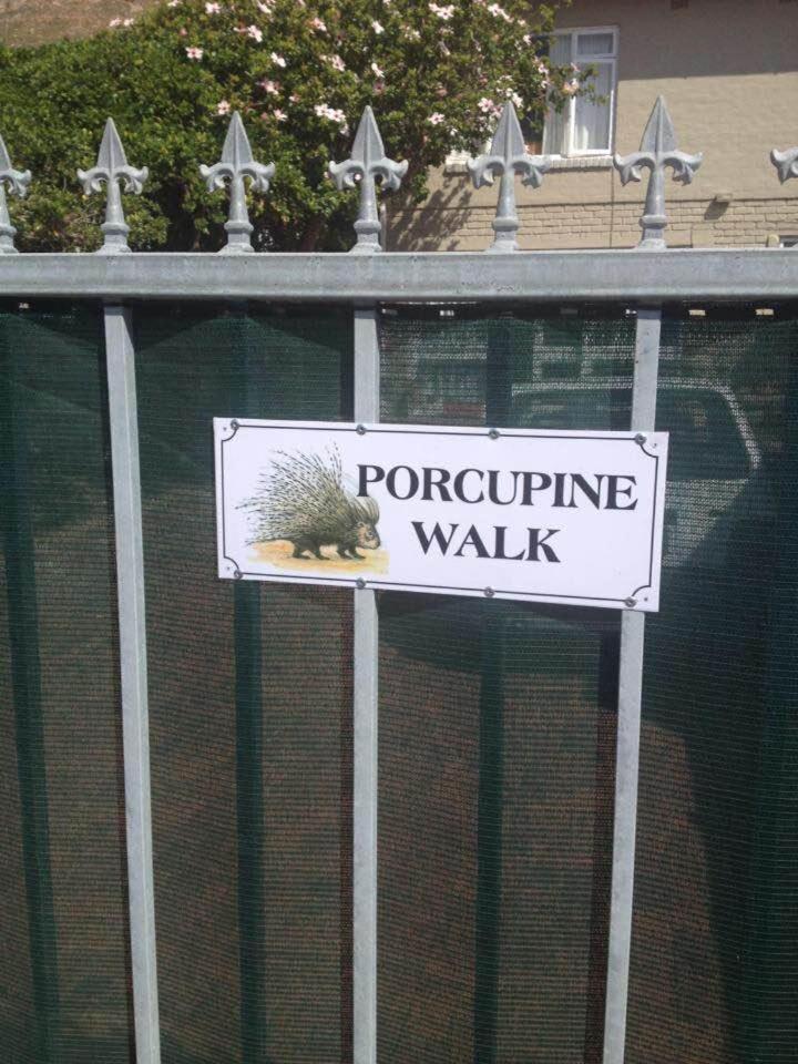 시몬스타운 Porcupine Walk 아파트 외부 사진